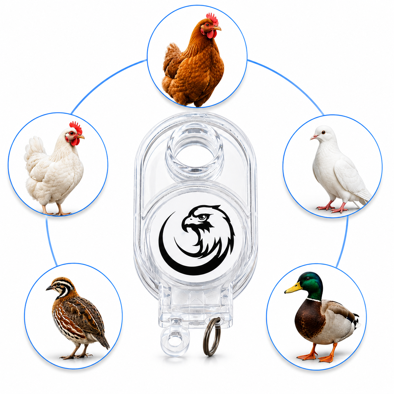 High-Efficiency Mini Bird & Chicken Trap/Keychain (8piece)